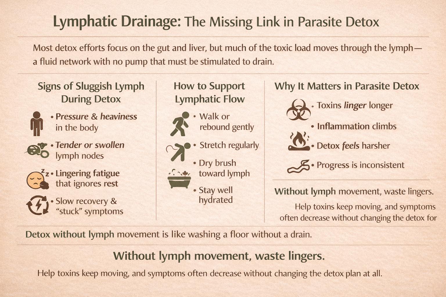 lymphatic drainage