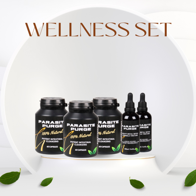 3 Month Wellness Set
